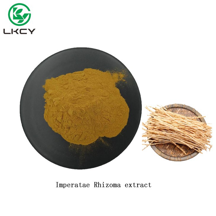 Detholiad Rhizoma Imperatae